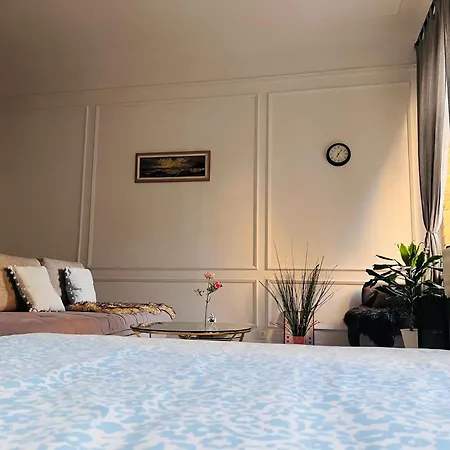 Cozy Apartment